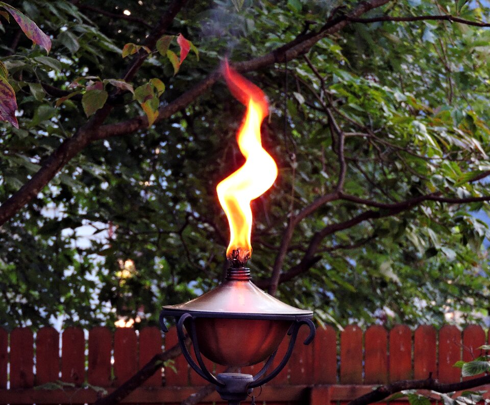 Oil lamp lamp oil