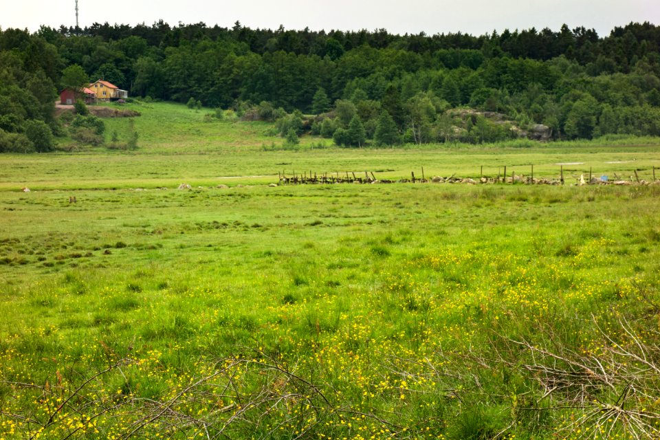 Trälebergskile sankmarker 2