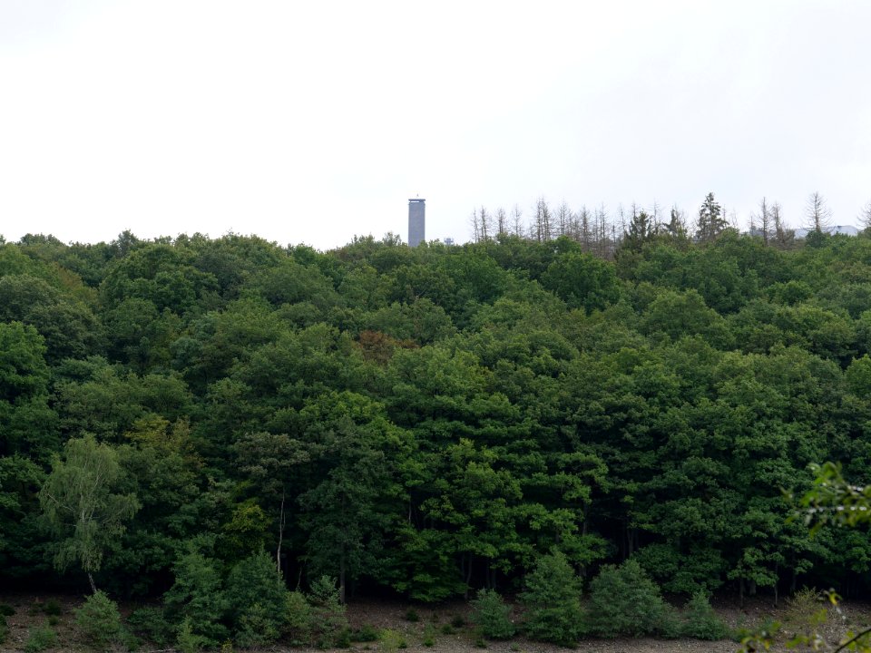 Tower of NS-Ordensburg Vogelsang