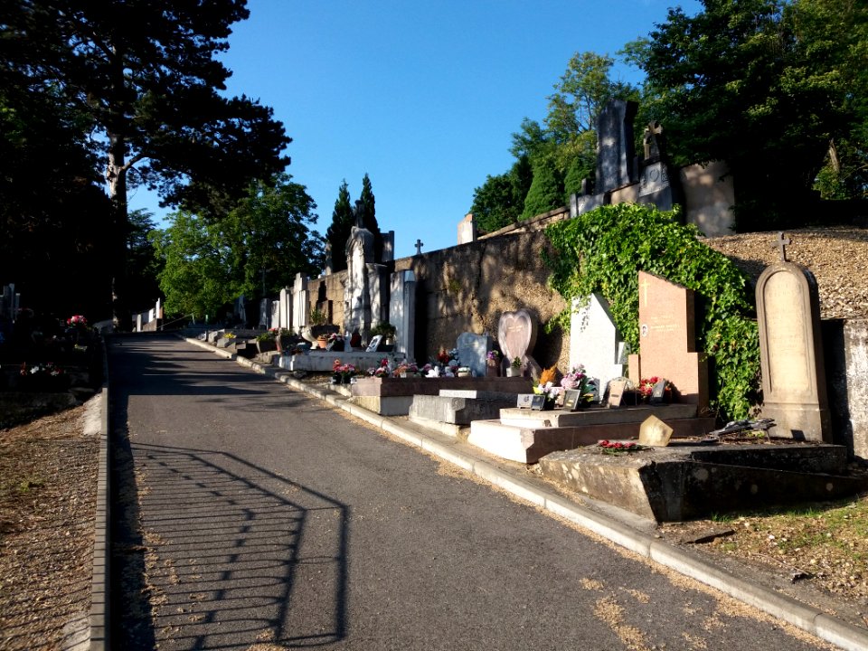 Trévoux - Cimetière - Allée montante