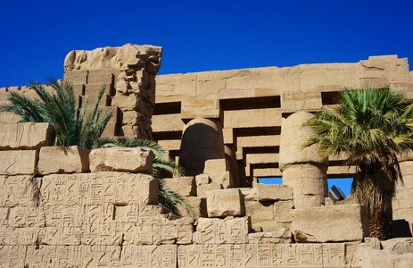 Hall wall palm trees
