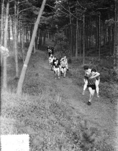 Training Nederlandse Schaatsploeg CIOS Overveen, Bestanddeelnr 906-0119