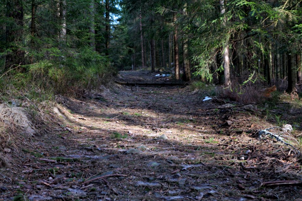 Track to Hoher Ochsenkopf 2020-03-15 06