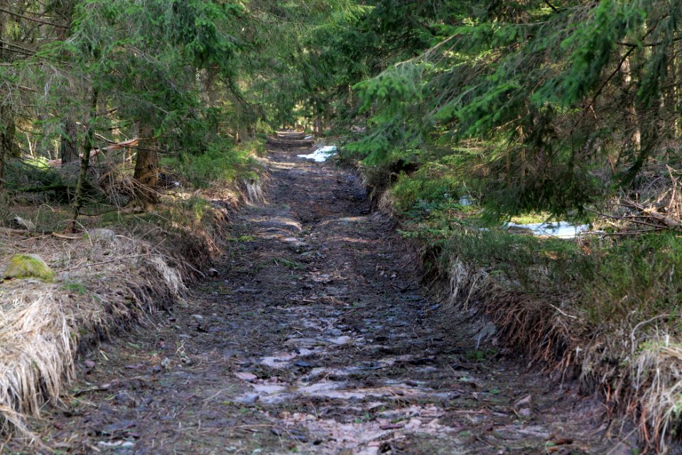 Track to Hoher Ochsenkopf 2020-03-15 03