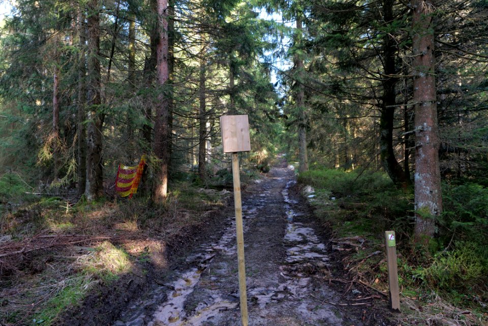 Track to Hoher Ochsenkopf 2020-03-15 01