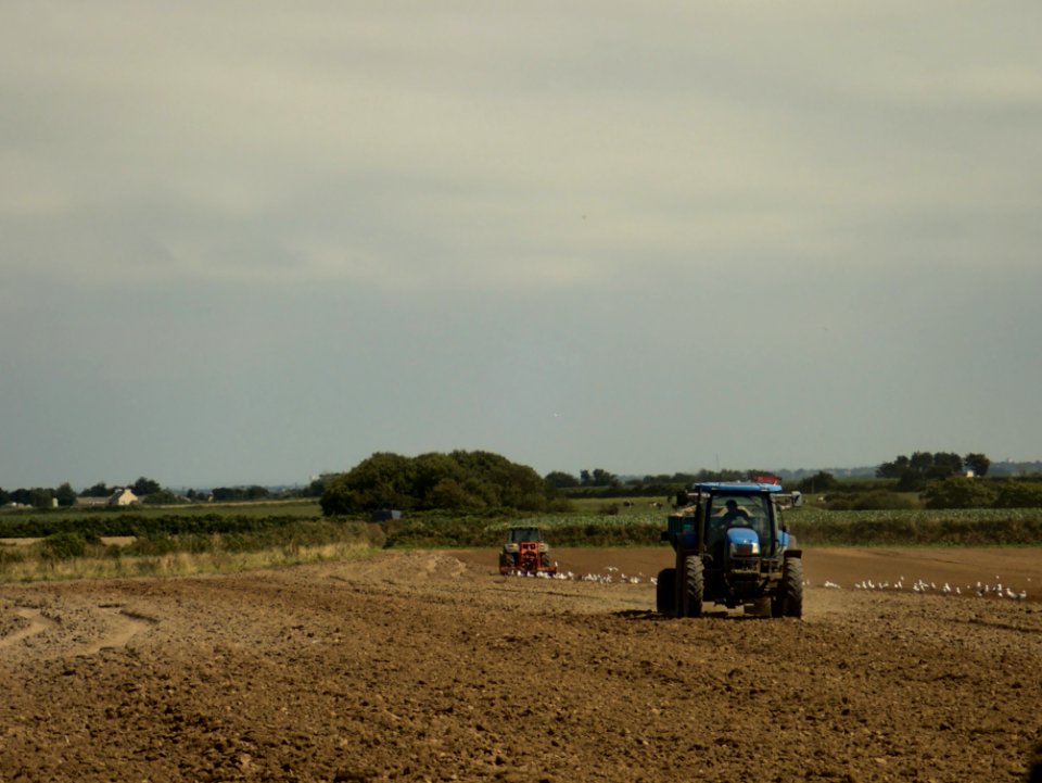 Tractors cultivating and fertilizing a field in Brittany 01