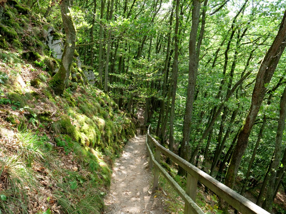 Trail from Urfttalsperre to Dreiborner Hochfläche in September 2019 01