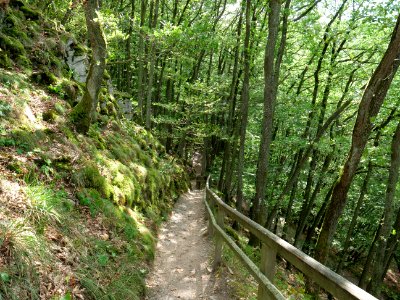 Trail from Urfttalsperre to Dreiborner Hochfläche in September 2019 01