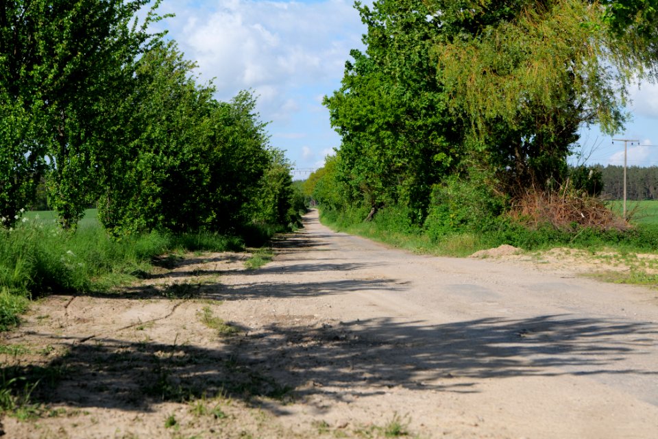 Track in Wichmannsdorf 2021-05-29 07