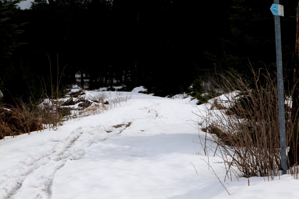 Track Unterstmatt to Ochsenstall 2020-03-14 12