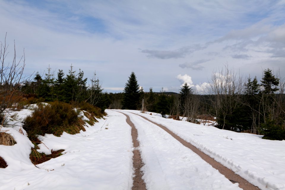 Track Unterstmatt to Ochsenstall 2020-03-14 15