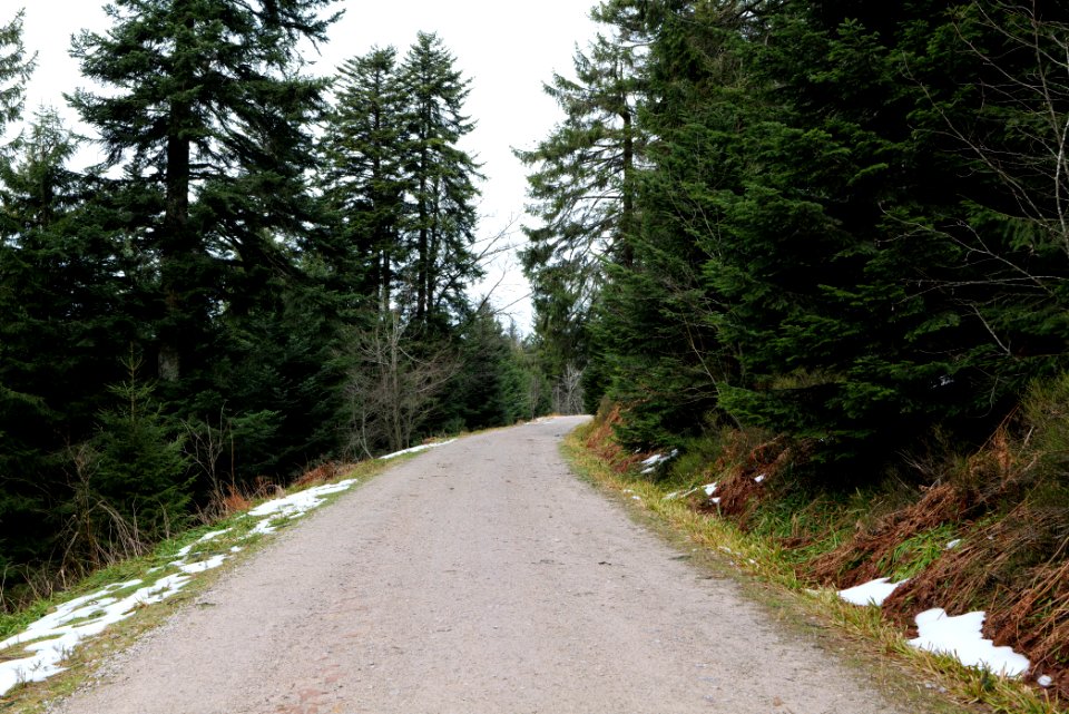 Track Unterstmatt 2020-03-14 02