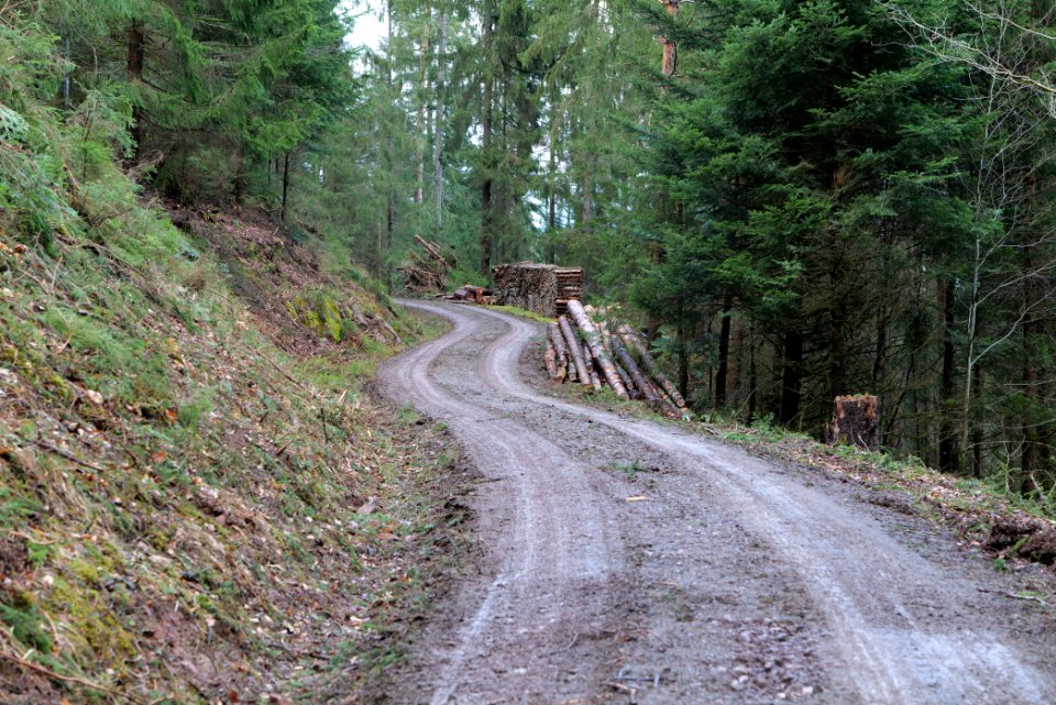Track near Tobelbach 2020-03-11 04