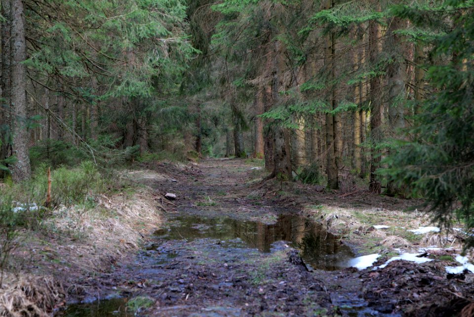 Track to Hoher Ochsenkopf 2020-03-15 08