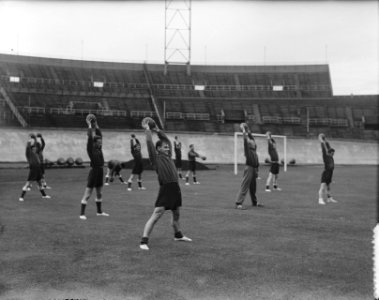 Training Nederlands elftalploeg in Olympisch Stadion, Bestanddeelnr 905-9074