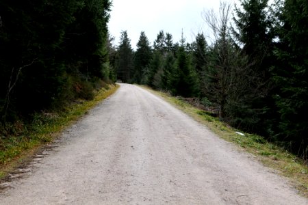 Track Unterstmatt 2020-03-14 04