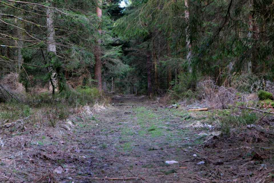 Track to Hoher Ochsenkopf 2020-03-15 07