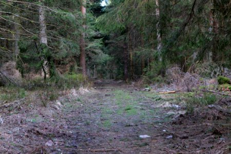 Track to Hoher Ochsenkopf 2020-03-15 07