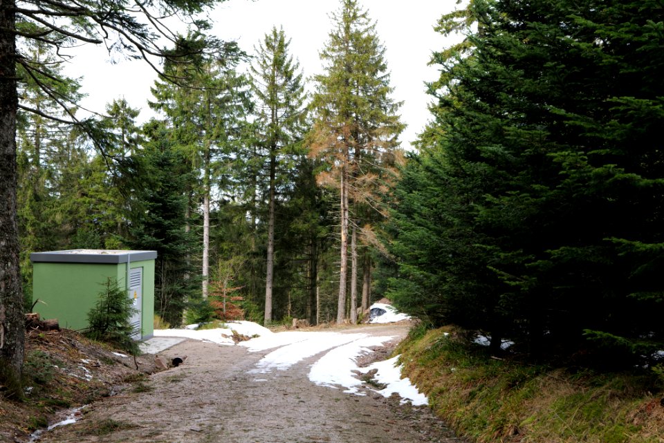 Track Unterstmatt to Ochsenstall 2020-03-14 01