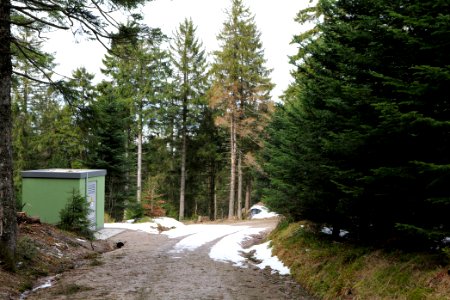 Track Unterstmatt to Ochsenstall 2020-03-14 01