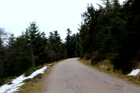 Track Unterstmatt 2020-03-14 06
