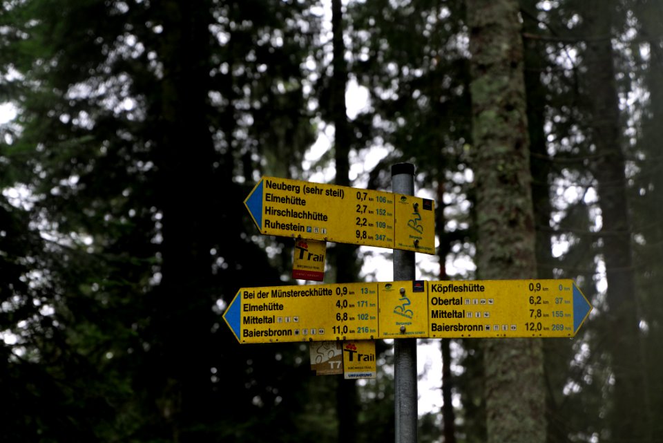 Track in the Black Forest at north of Obertal Baiersbronn 2020-03-11 08