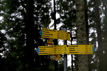 Track in the Black Forest at north of Obertal Baiersbronn 2020-03-11 08