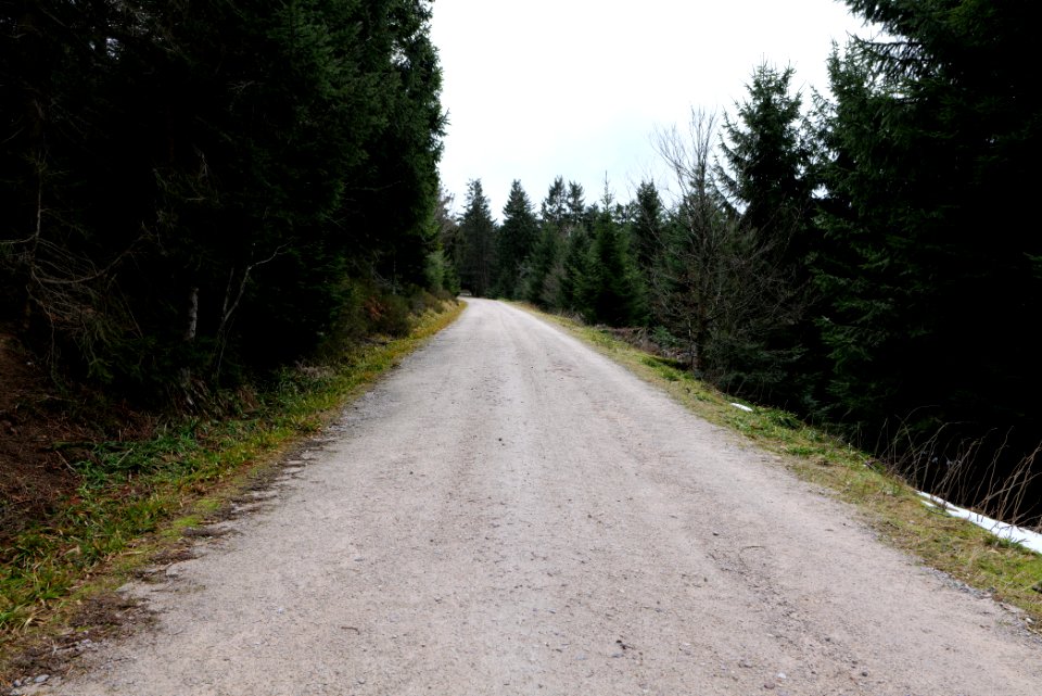 Track Unterstmatt 2020-03-14 03
