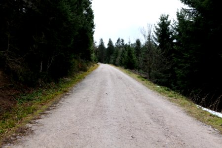 Track Unterstmatt 2020-03-14 03
