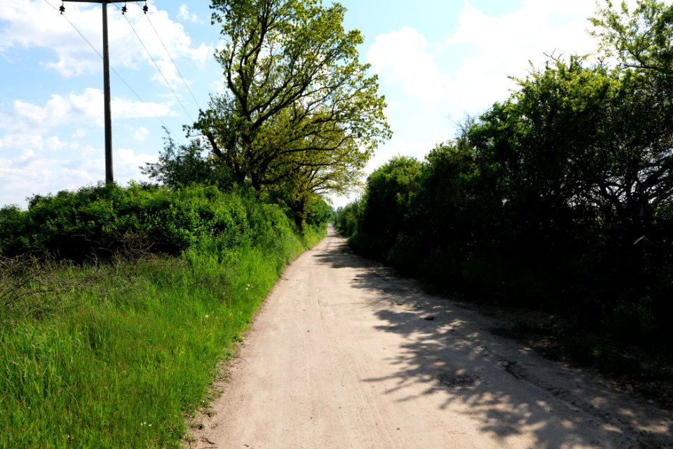 Track in Wichmannsdorf 2021-05-29 04