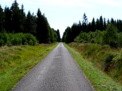 Track in the Osthertogenwald 05