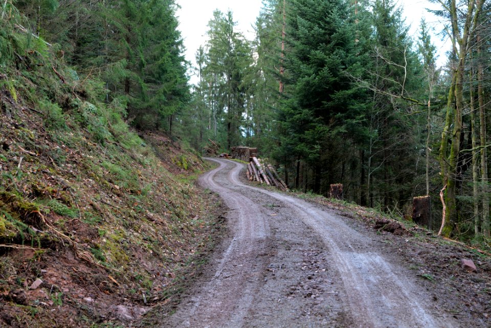 Track near Tobelbach 2020-03-11 03