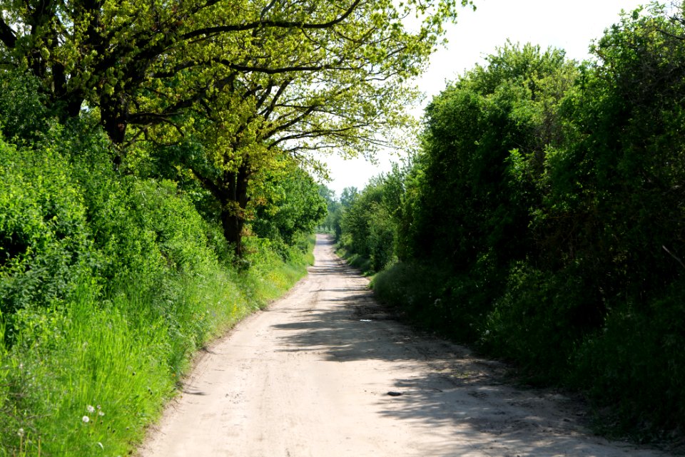 Track in Wichmannsdorf 2021-05-29 05