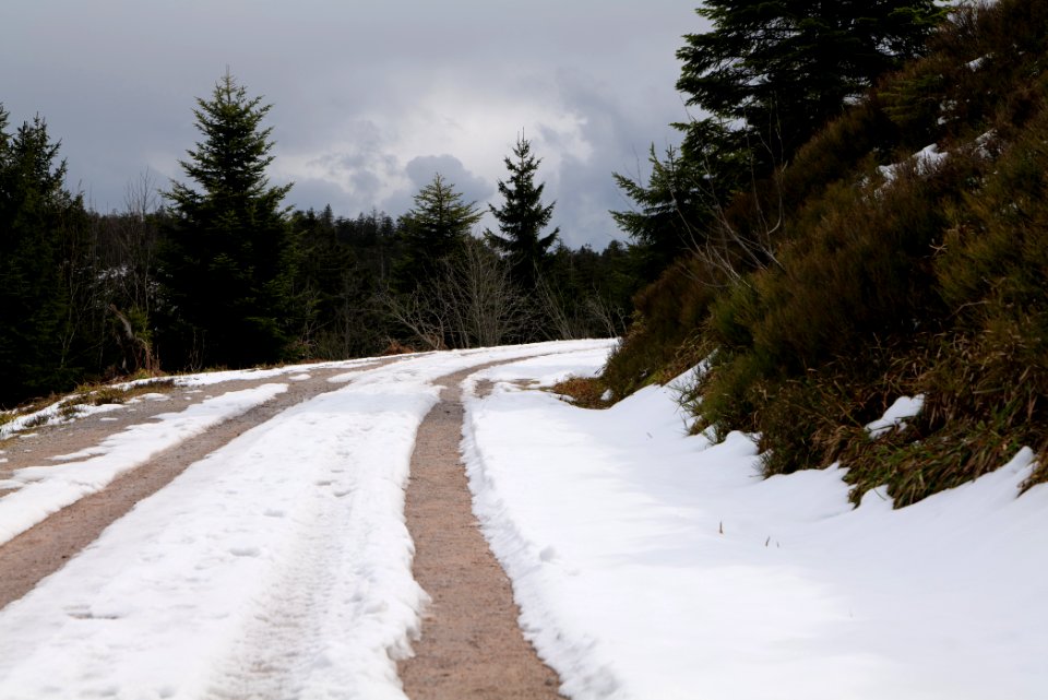 Track Unterstmatt to Ochsenstall 2020-03-14 10