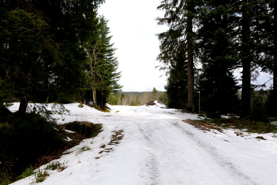 Track Unterstmatt to Ochsenstall 2020-03-14 18