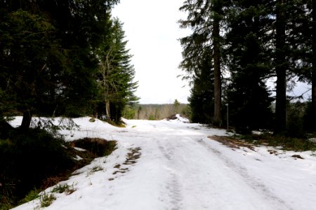Track Unterstmatt to Ochsenstall 2020-03-14 18