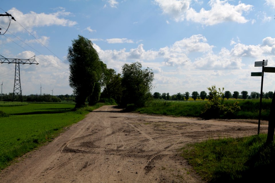 Track in Wichmannsdorf 2021-05-29 02