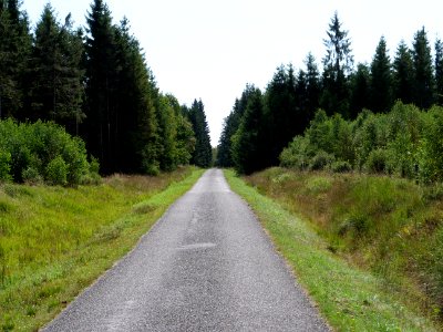 Track in the Osthertogenwald 03