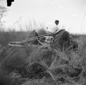 Tractors, maaimachines, arbeiders, Bestanddeelnr 250-8482