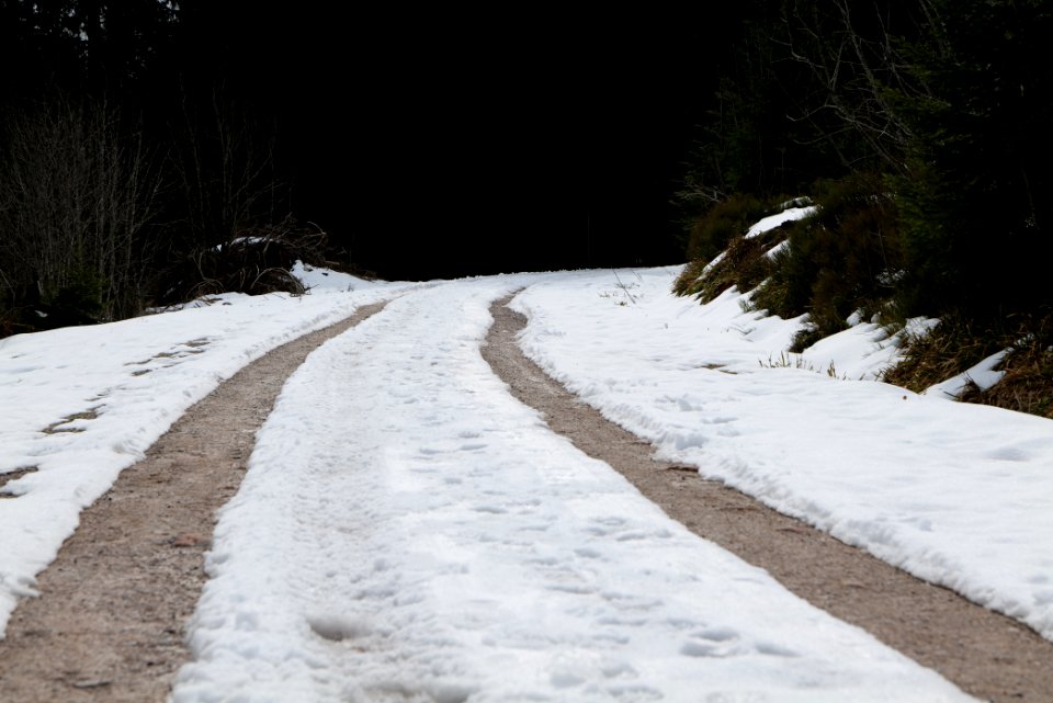Track Unterstmatt to Ochsenstall 2020-03-14 14