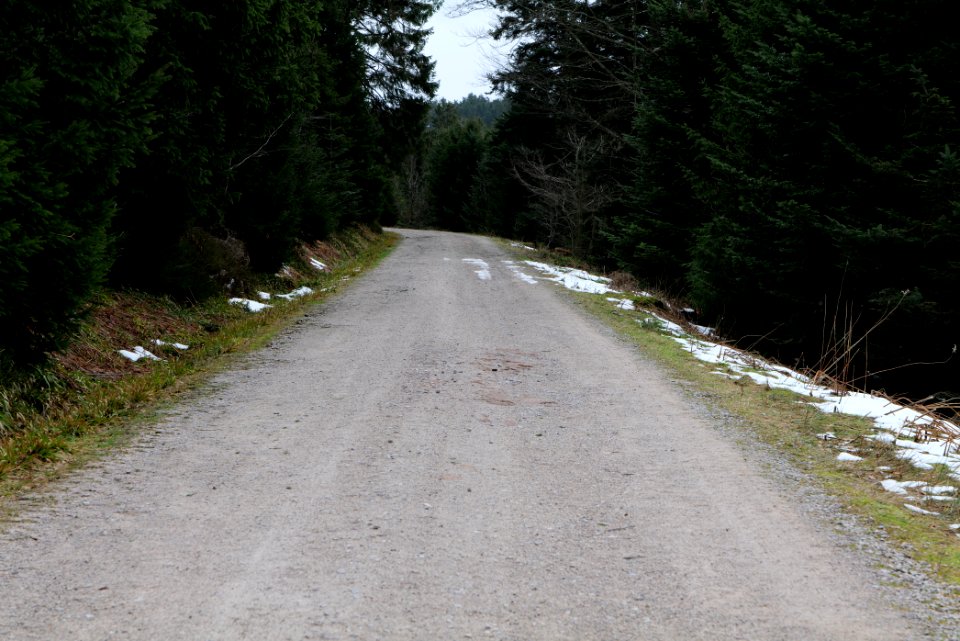 Track Unterstmatt 2020-03-14 01