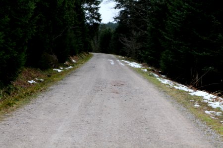 Track Unterstmatt 2020-03-14 01