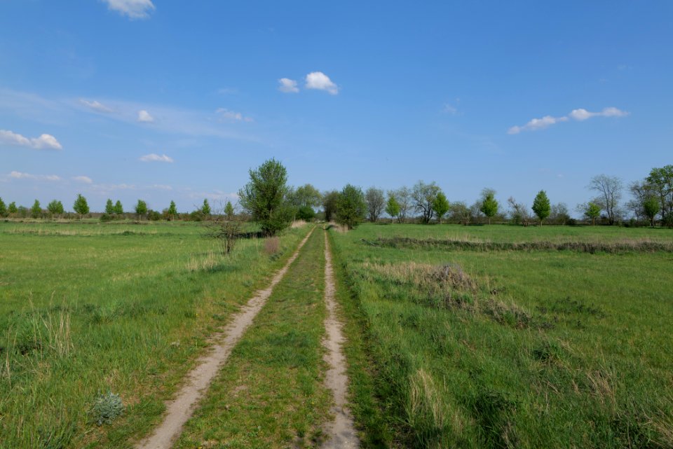 Track in Ragow 2021-05-11 06