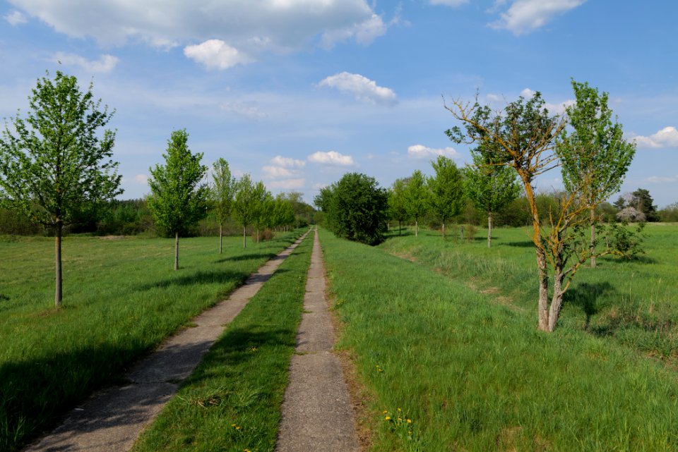 Track in Ragow 2021-05-11 11
