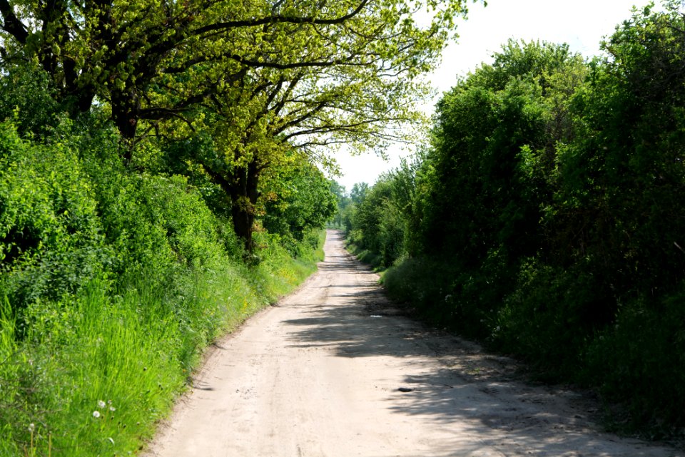 Track in Wichmannsdorf 2021-05-29 03