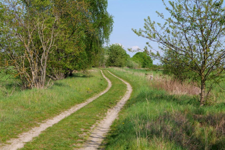Track in Ragow 2021-05-11 02