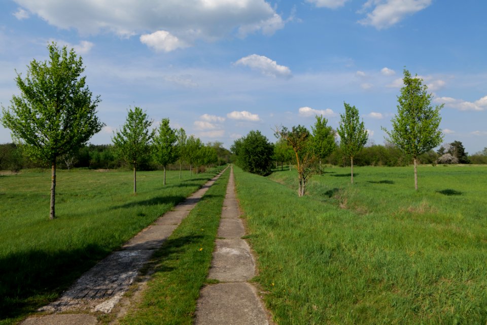 Track in Ragow 2021-05-11 09