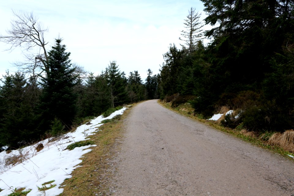 Track Unterstmatt 2020-03-14 05