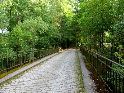 Track in the Osthertogenwald 02