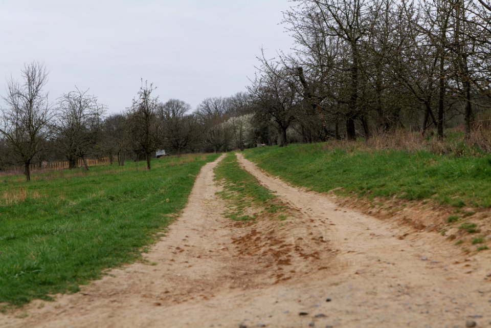 Track in Ockstadt 2021-04-02 06
